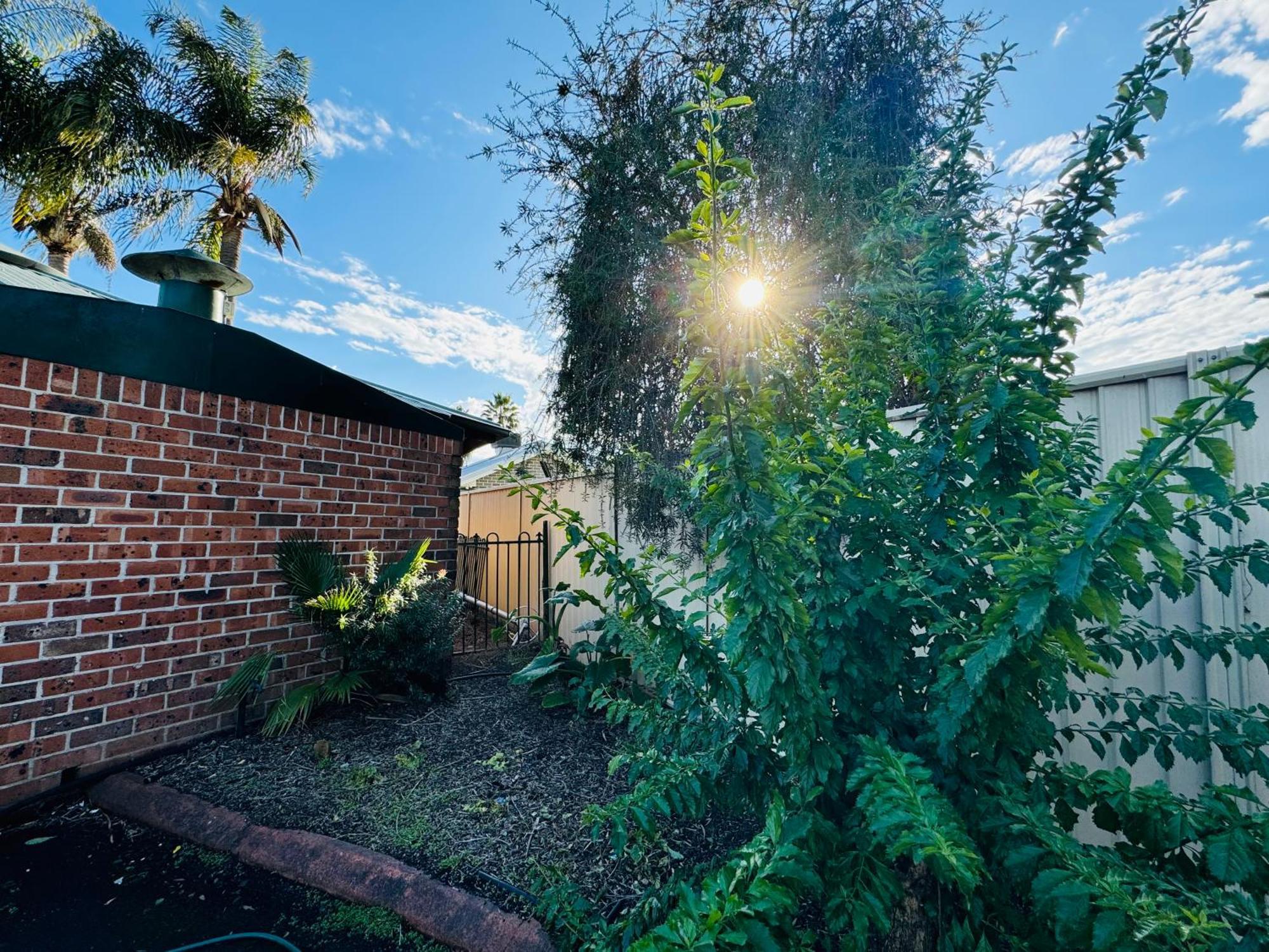Town And Country Motor Inn Tamworth Luaran gambar