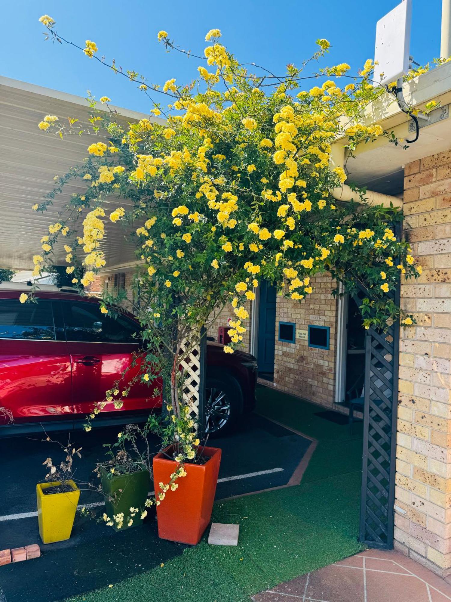 Town And Country Motor Inn Tamworth Luaran gambar